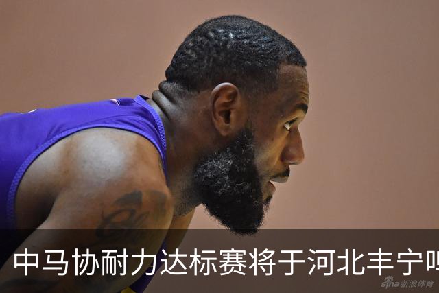 中马协耐力达标赛将于河北丰宁鸣枪 数十家专业马术俱乐部角逐