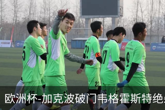 欧洲杯-加克波破门韦格霍斯特绝杀 荷兰2-1波兰