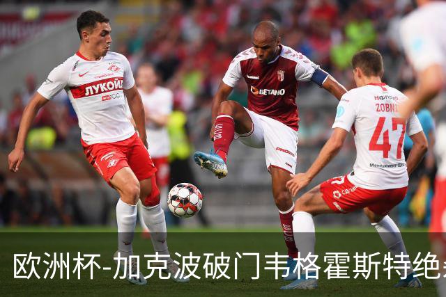 欧洲杯-加克波破门韦格霍斯特绝杀 荷兰2-1波兰