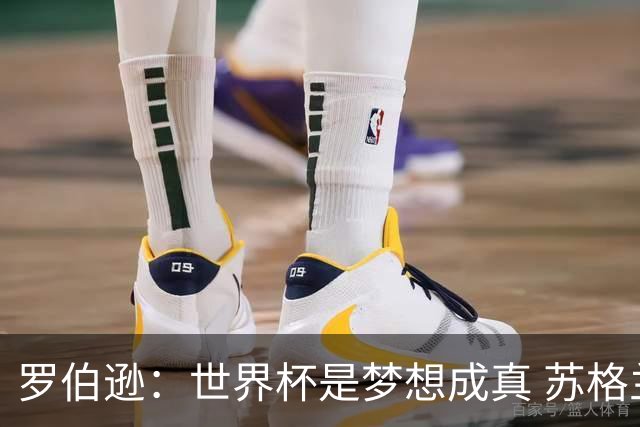 罗伯逊：世界杯是梦想成真 苏格兰已从上届欧洲杯吸取教训